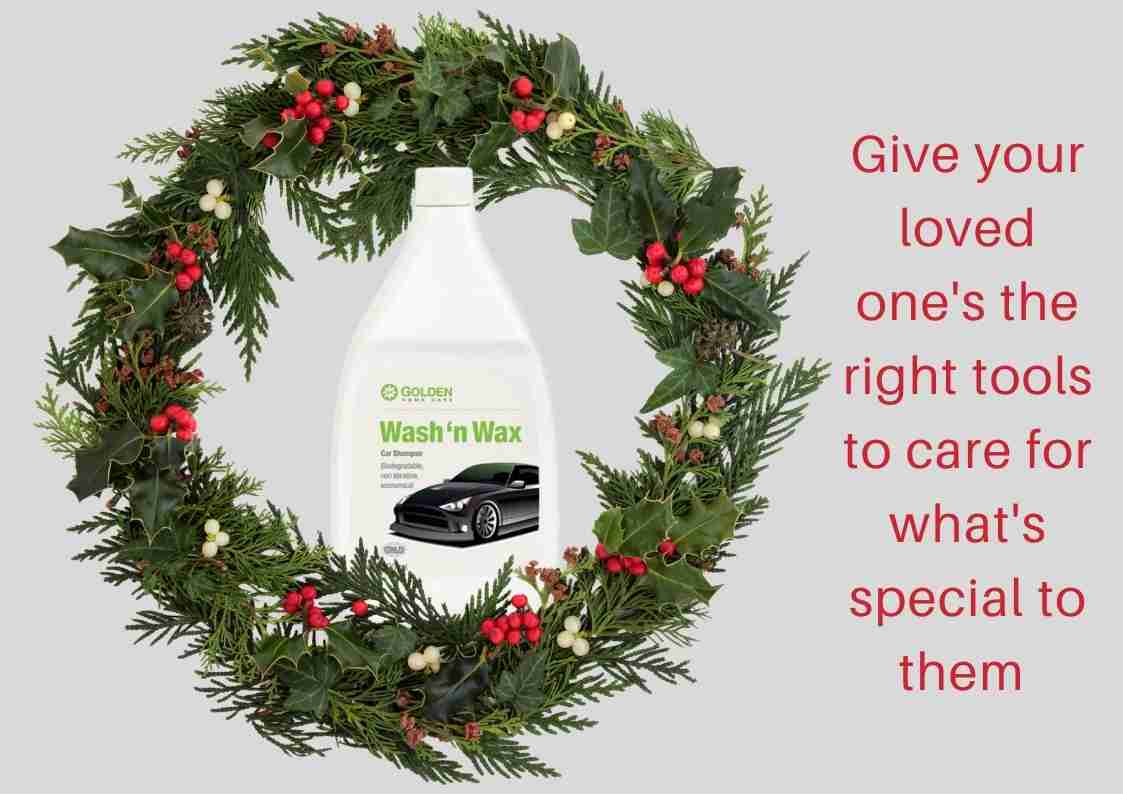 Yourday2day NeoLife car wash Christmas gift