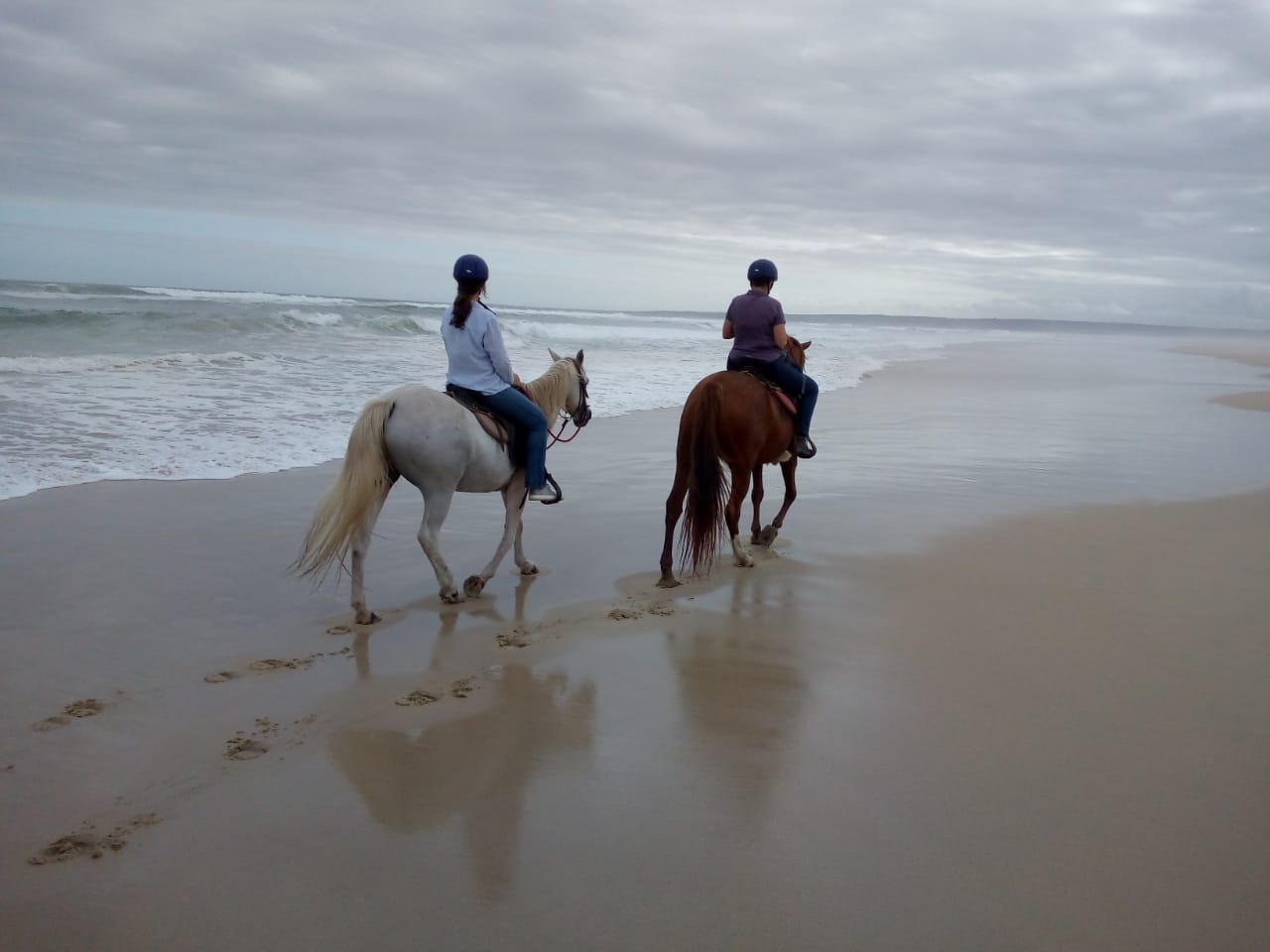 Team World Wide leader on a horseback ride thanks to amitone from NeoLfe and Yourday2day 