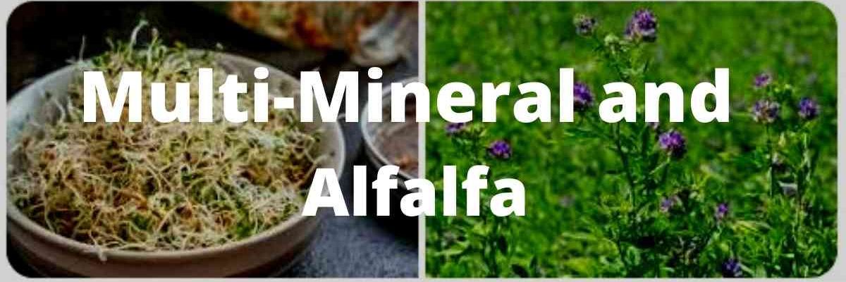 multi-mineral and alfalfa banner